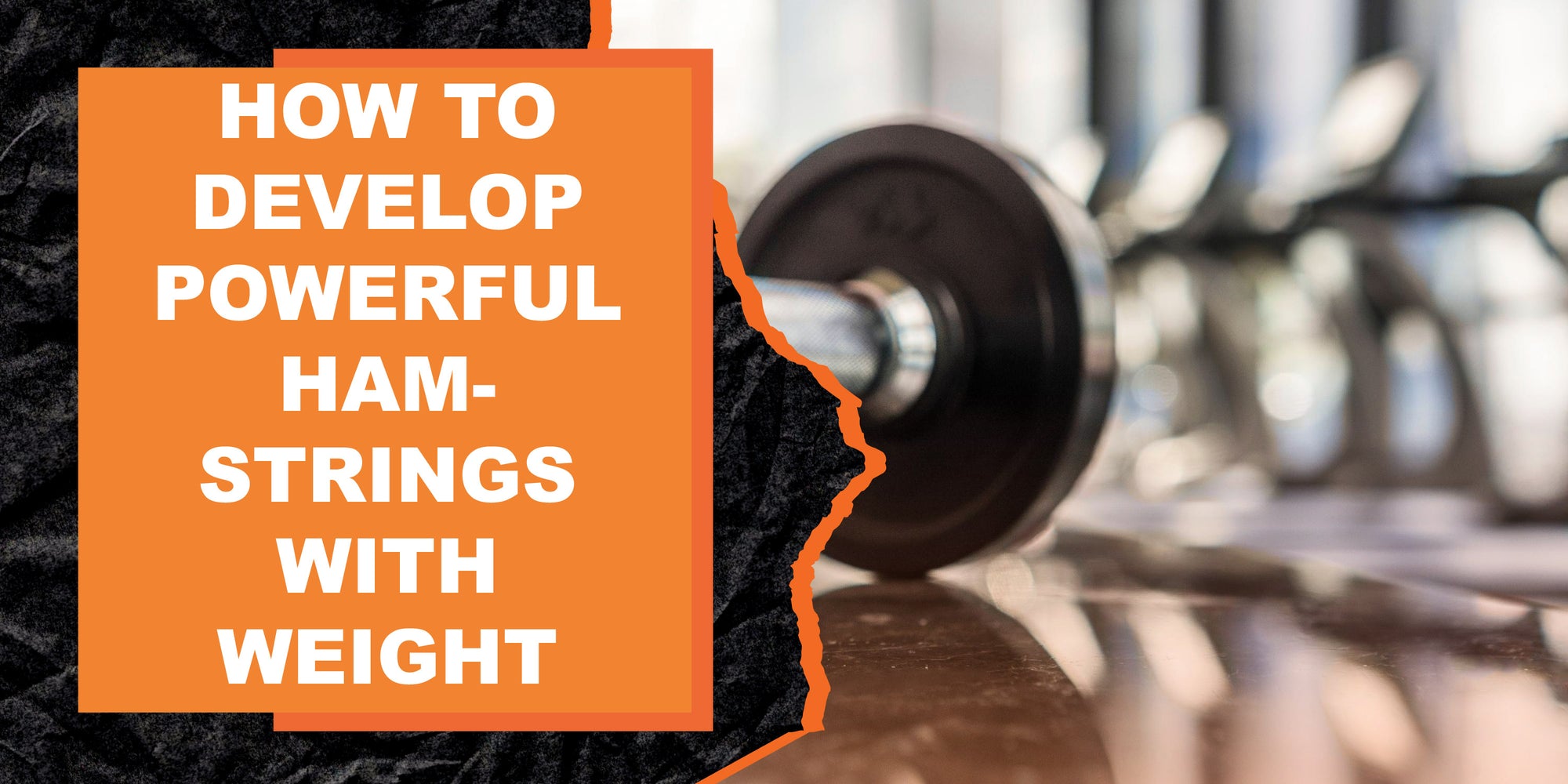 How to Develop Powerful Hamstrings with Weight Training | MAGMA Fitness