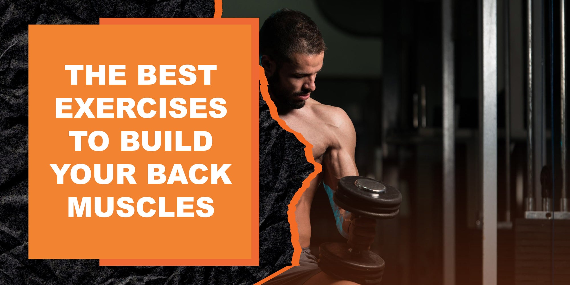 The Best Exercises to Build Your Back Muscles