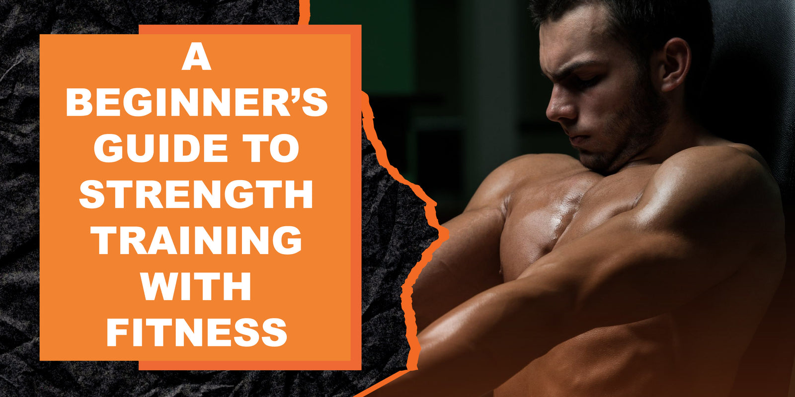 A Beginner’s Guide to Strength Training with Fitness Equipment