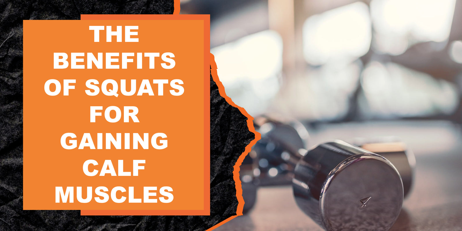 The Benefits of Squats for Gaining Calf Muscles