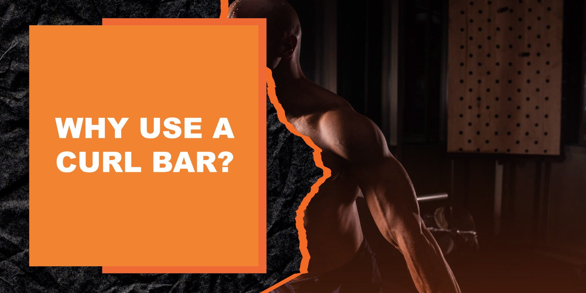 Why Use a Curl Bar?