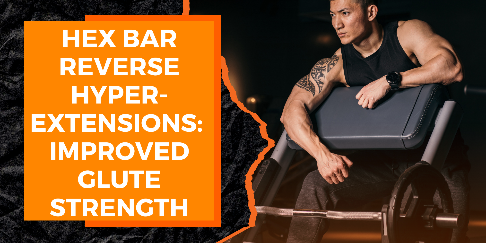 Hex Bar Reverse Hyperextensions: An Exercise for Improved Glute Strength