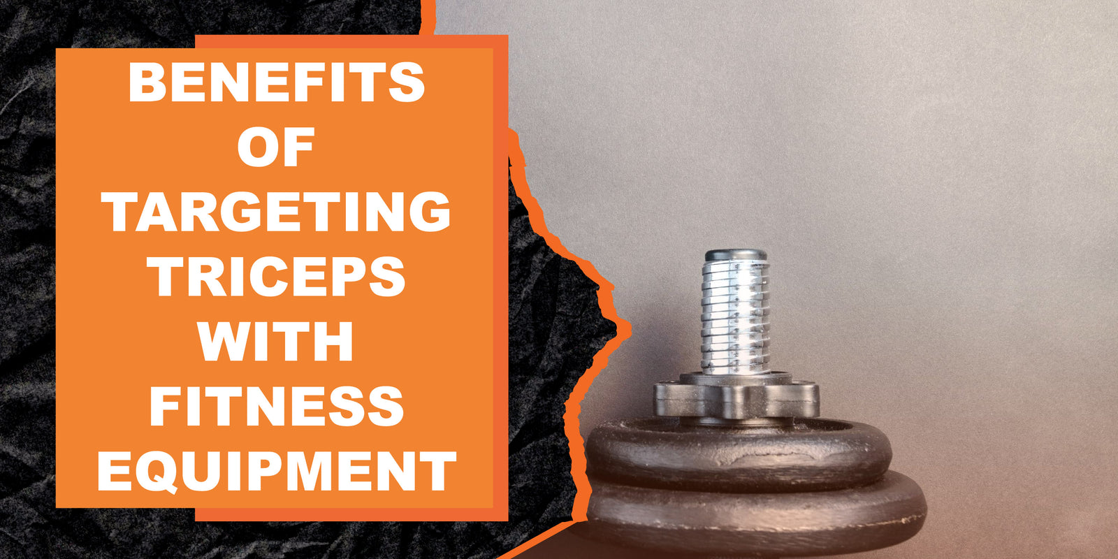 The Benefits of Targeting Triceps with Fitness Equipment