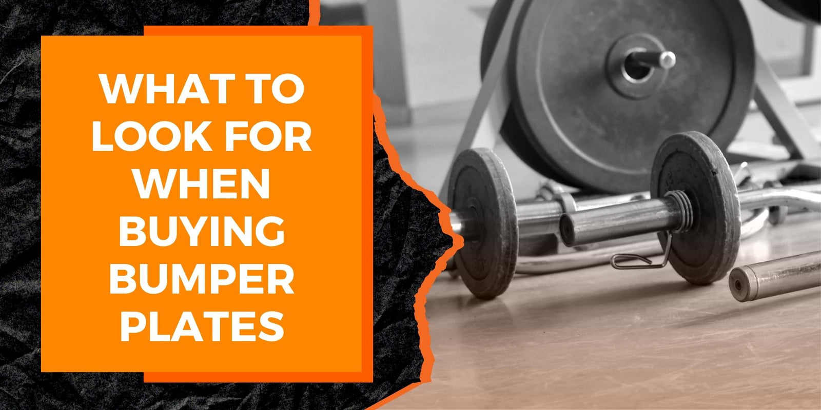 What to Look for When Buying Bumper Plates MAGMA Fitness