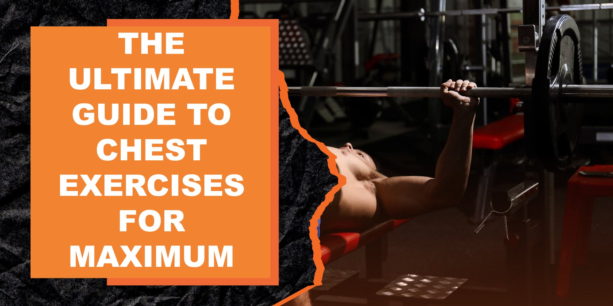 The Ultimate Guide to Chest Exercises for Maximum Gains