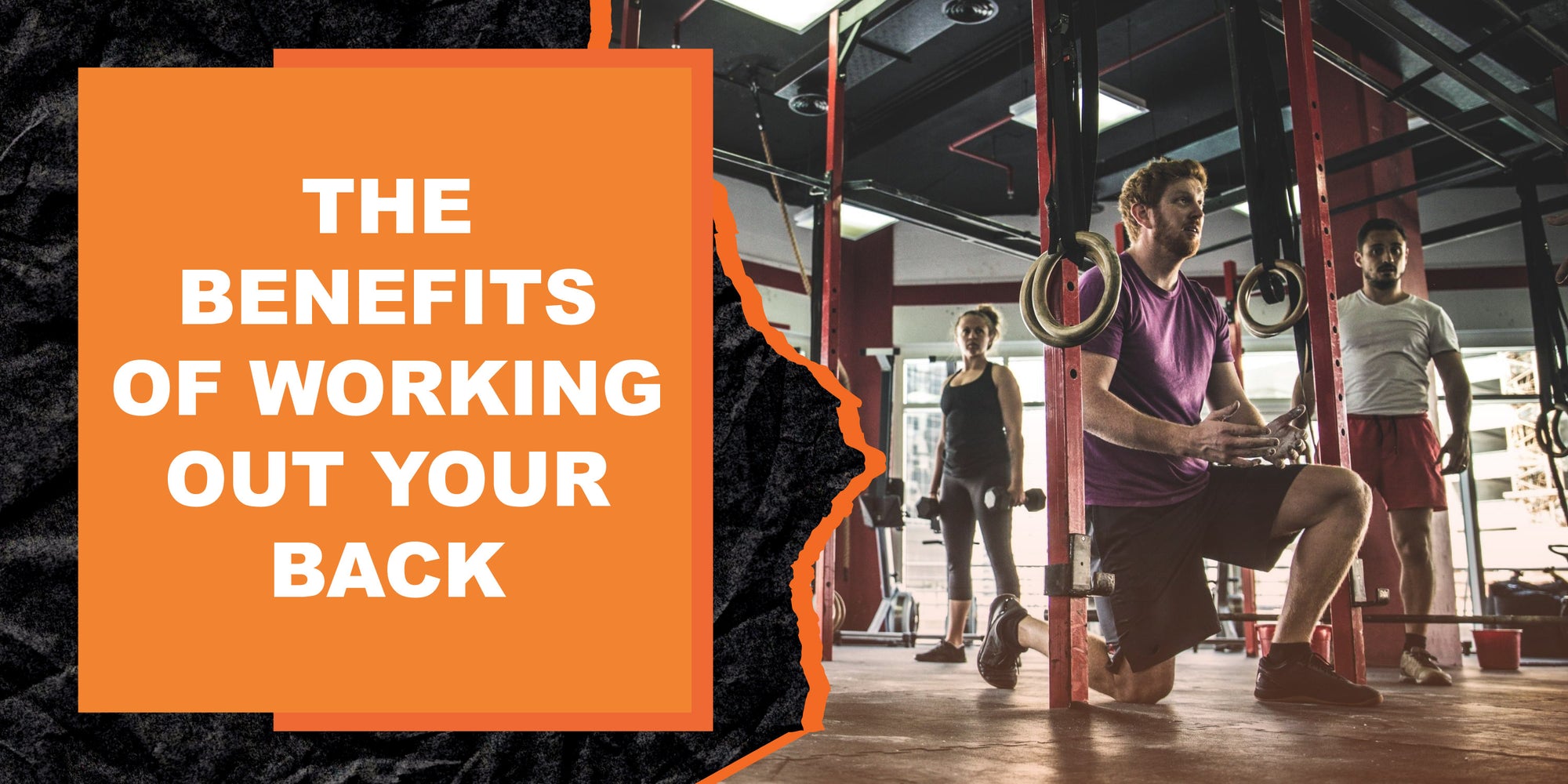 The Benefits of Working Out Your Back