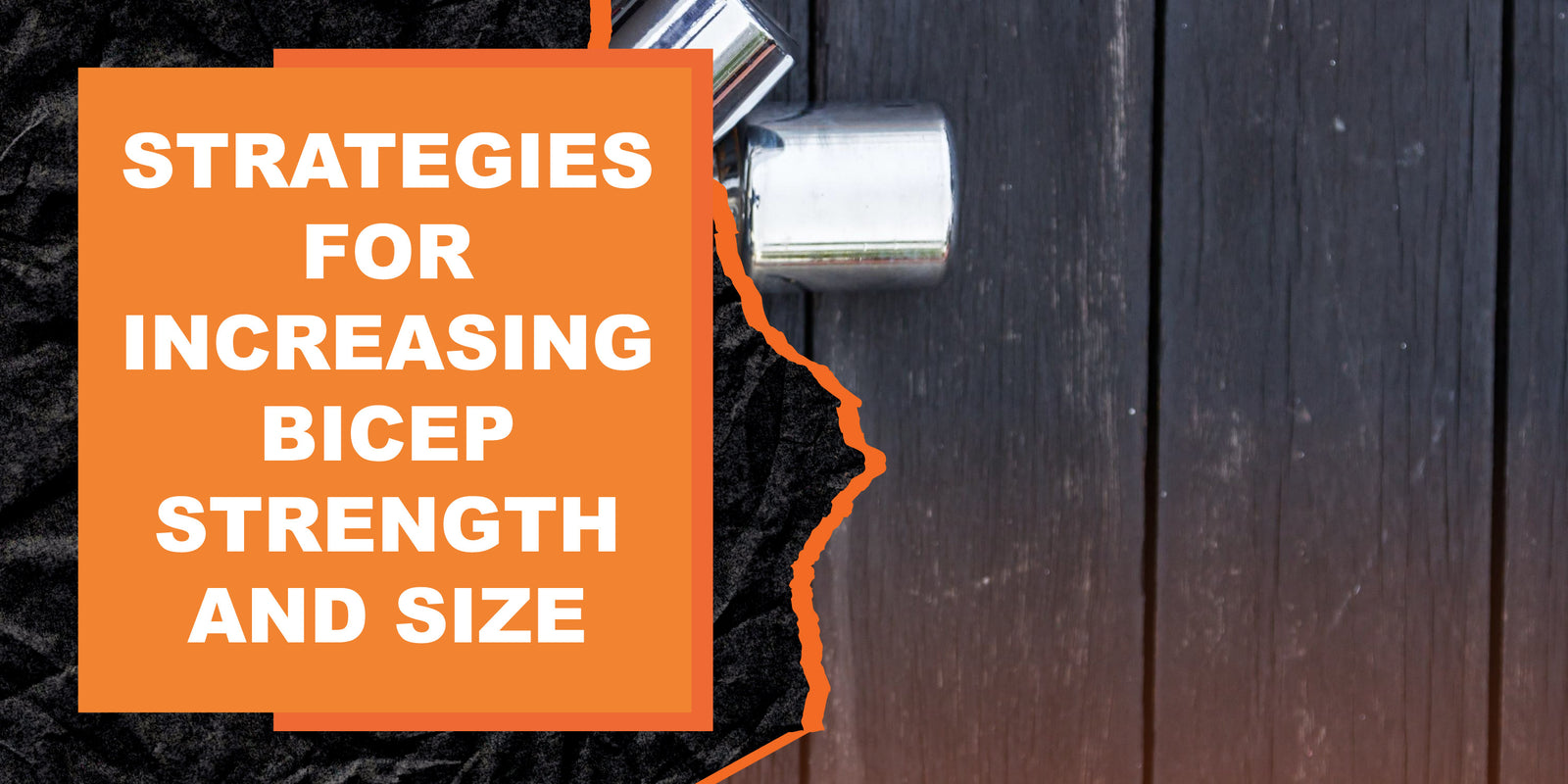 Effective Strategies for Increasing Bicep Strength and Size