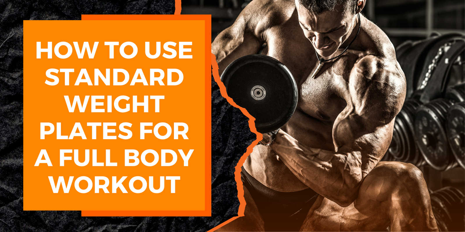 How to Use Standard Weight Plates for a Full Body Workout MAGMA Fitness