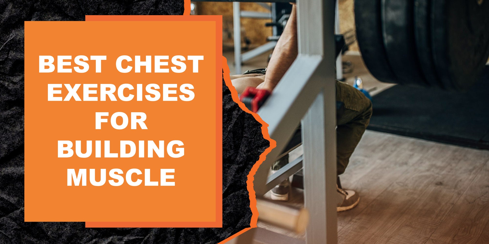 The Best Chest Exercises for Building Muscle and Strength