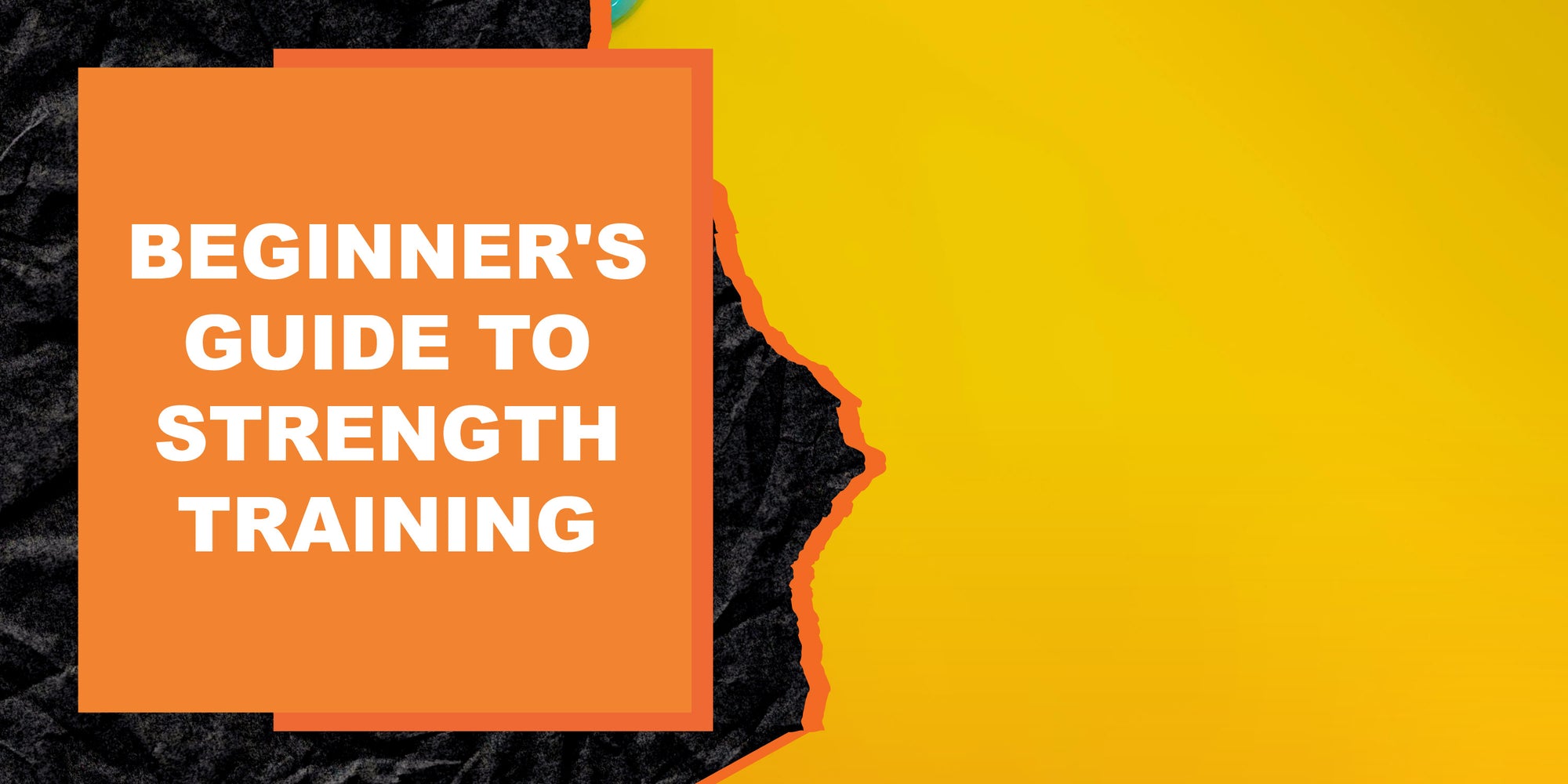 The Beginner's Guide to Strength Training: What You Need to Know ...