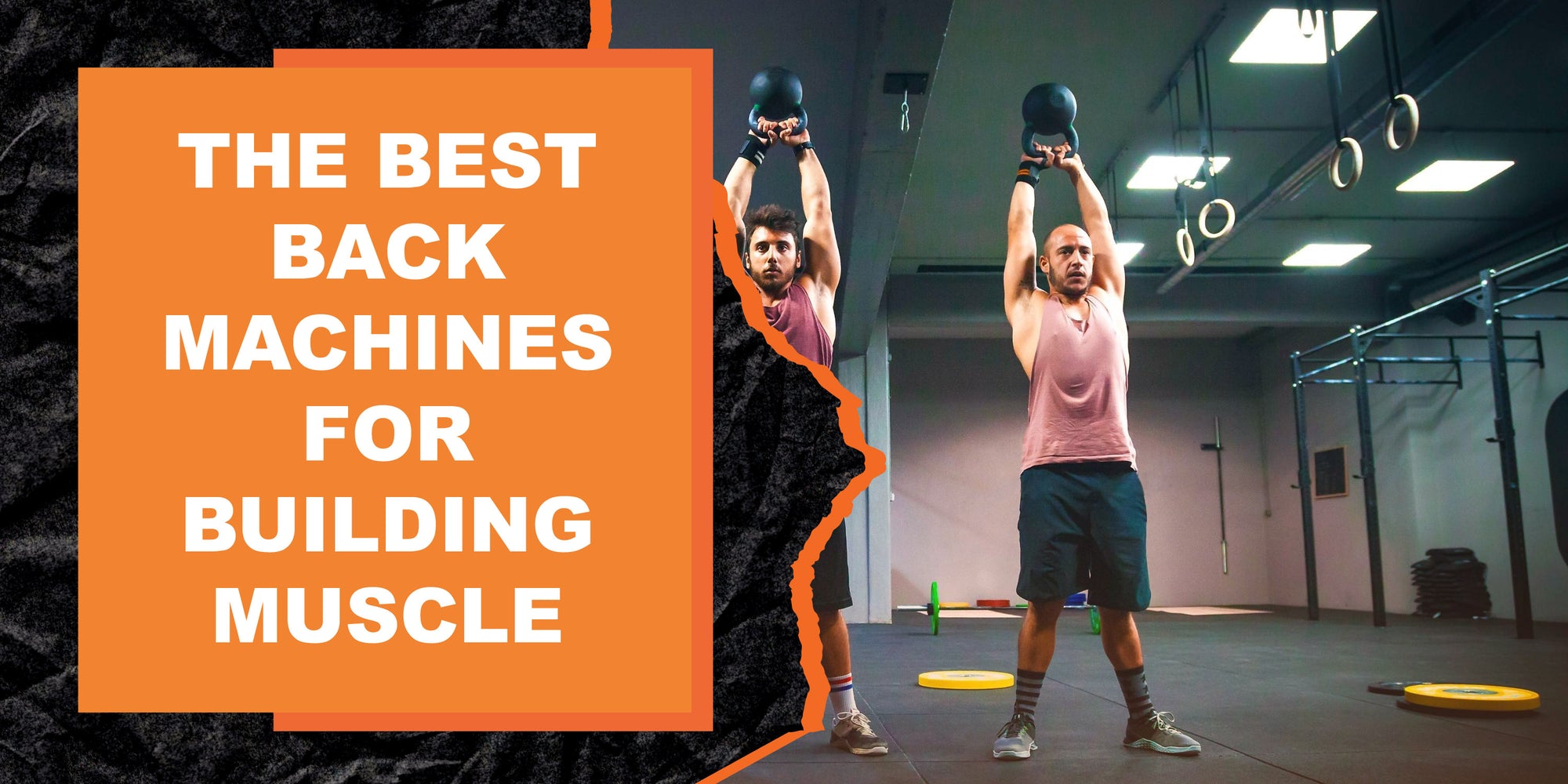 Back Machine Website The Best Back Machines for Building Muscle | MAGMA Fitness