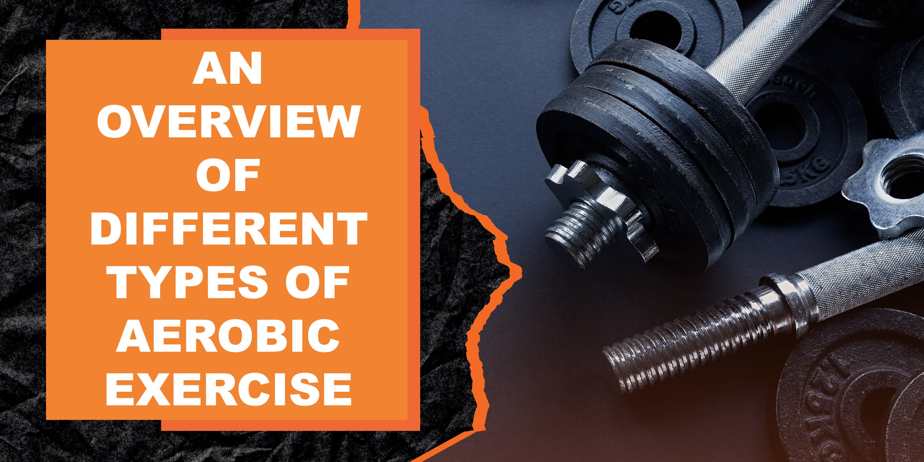 Different Exercise An Overview of Different Types of Aerobic Exercise | MAGMA Fitness