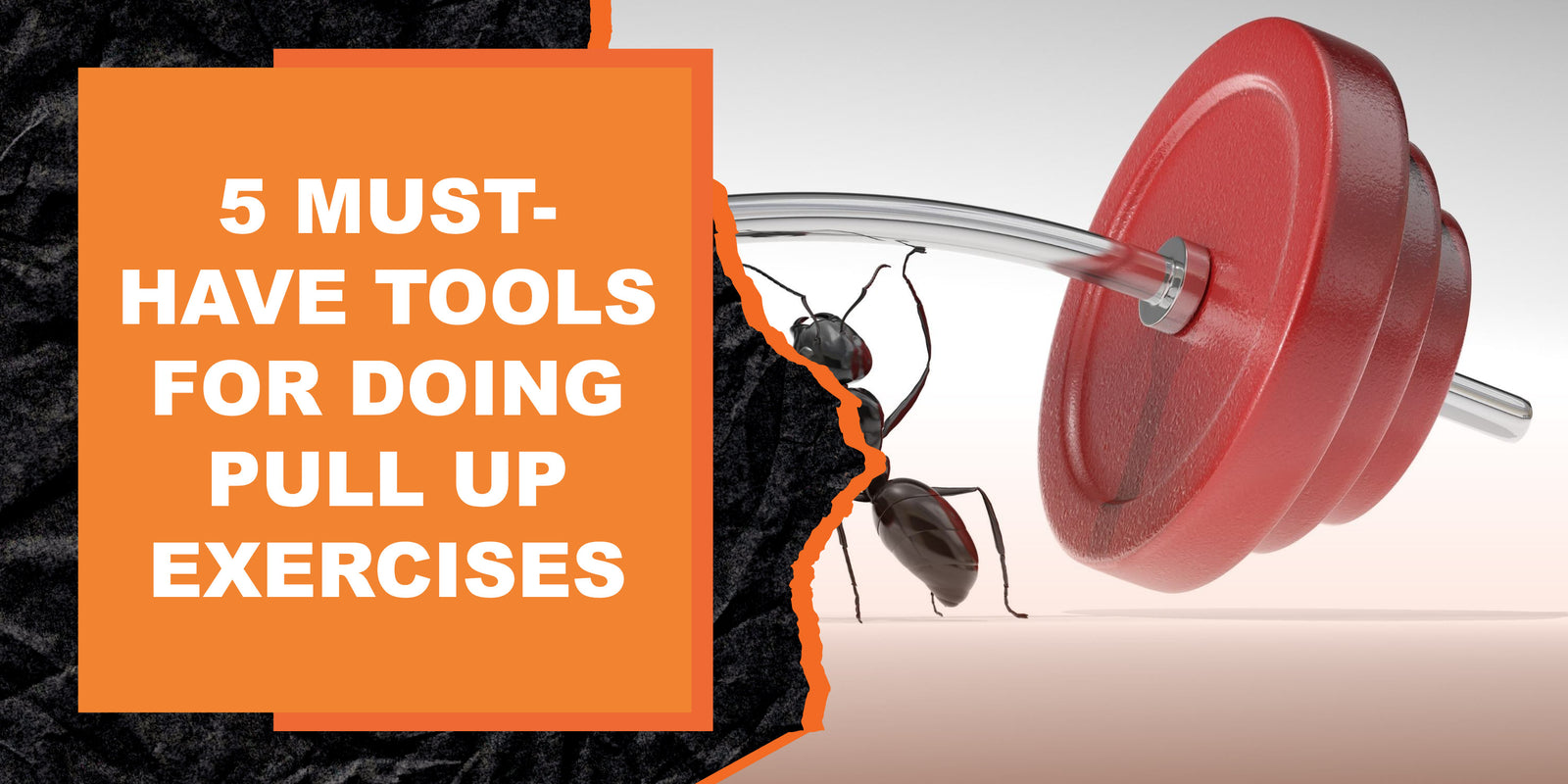 5 Must-Have Tools for Doing Pull Up Exercises