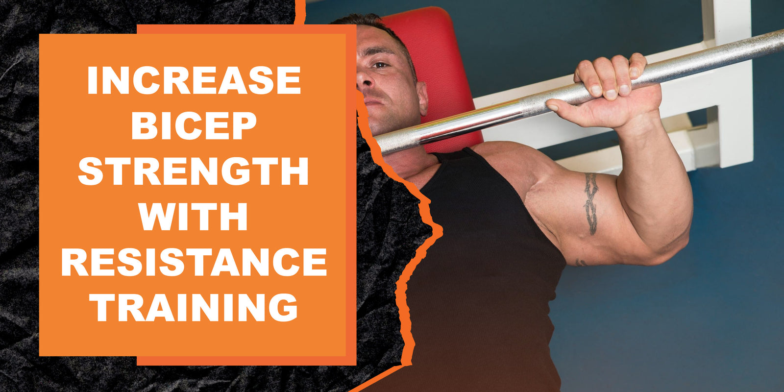 how-to-increase-bicep-size-and-strength-with-resistance-training