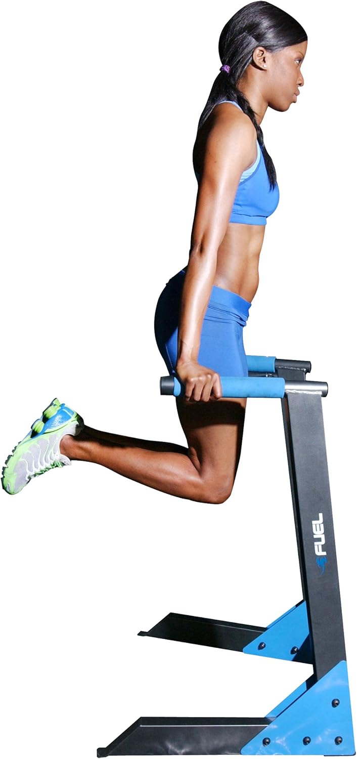 Fuel Pureformance Deluxe Dip Station