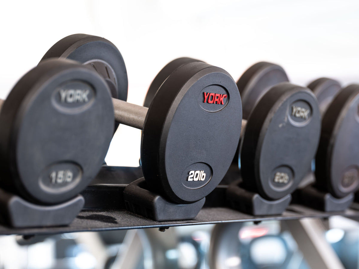 York Barbell Pro Style Dumbbells