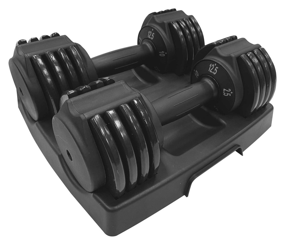Iron Body Fitness 25 LB Adjustable Dumbbell Pair