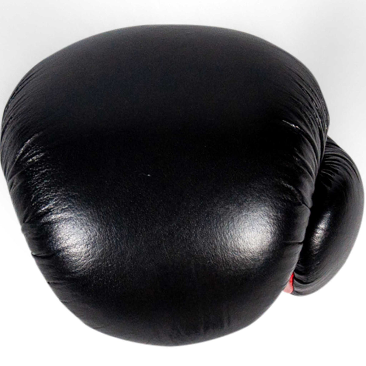 Iron Body Fitness Pro Series Boxing Gloves
