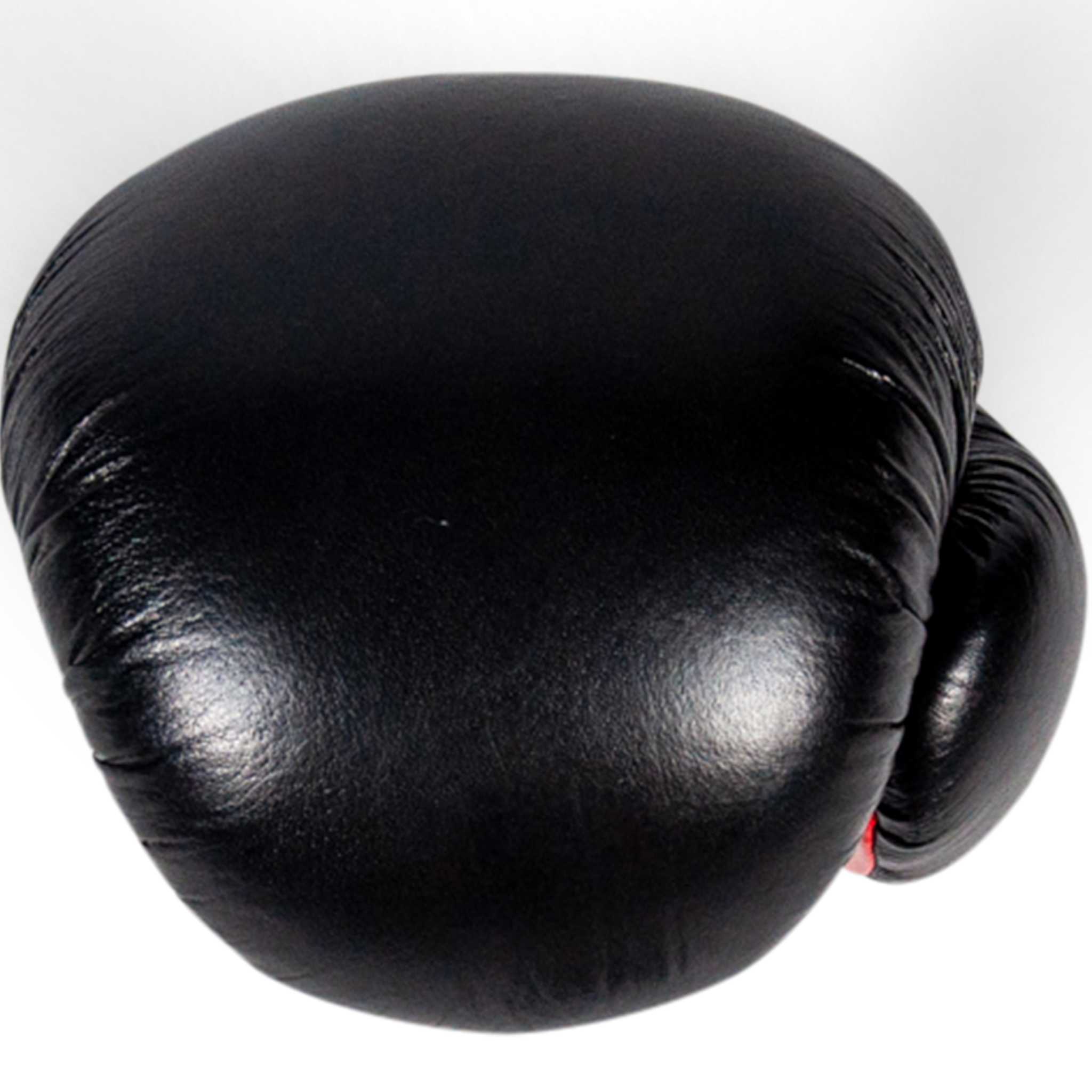 IBF Pro Series Boxing Gloves | MAGMA Fitness