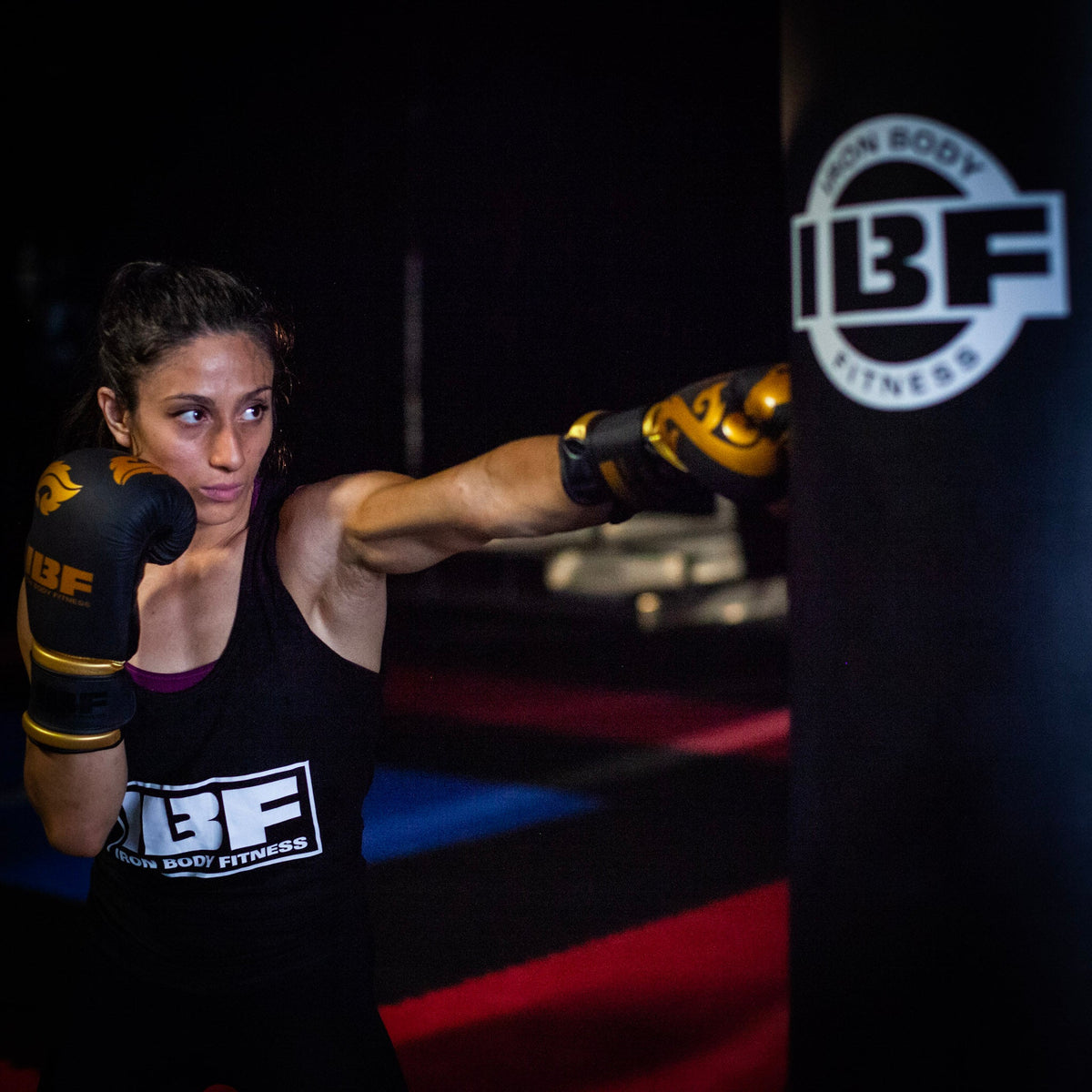 Iron Body Fitness Heavy Punching Bags