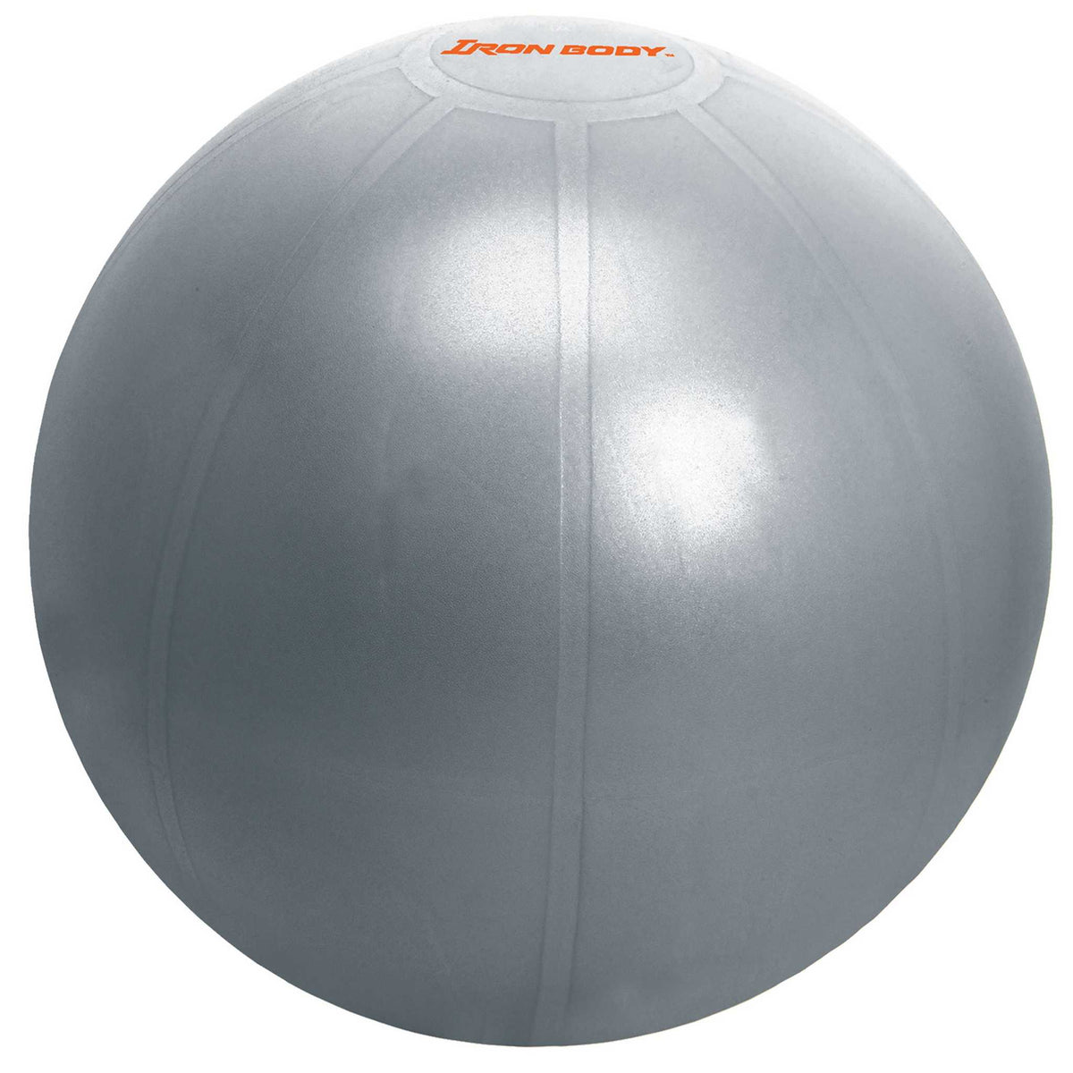 Iron Body Fitness Pro Series Exercise Ball