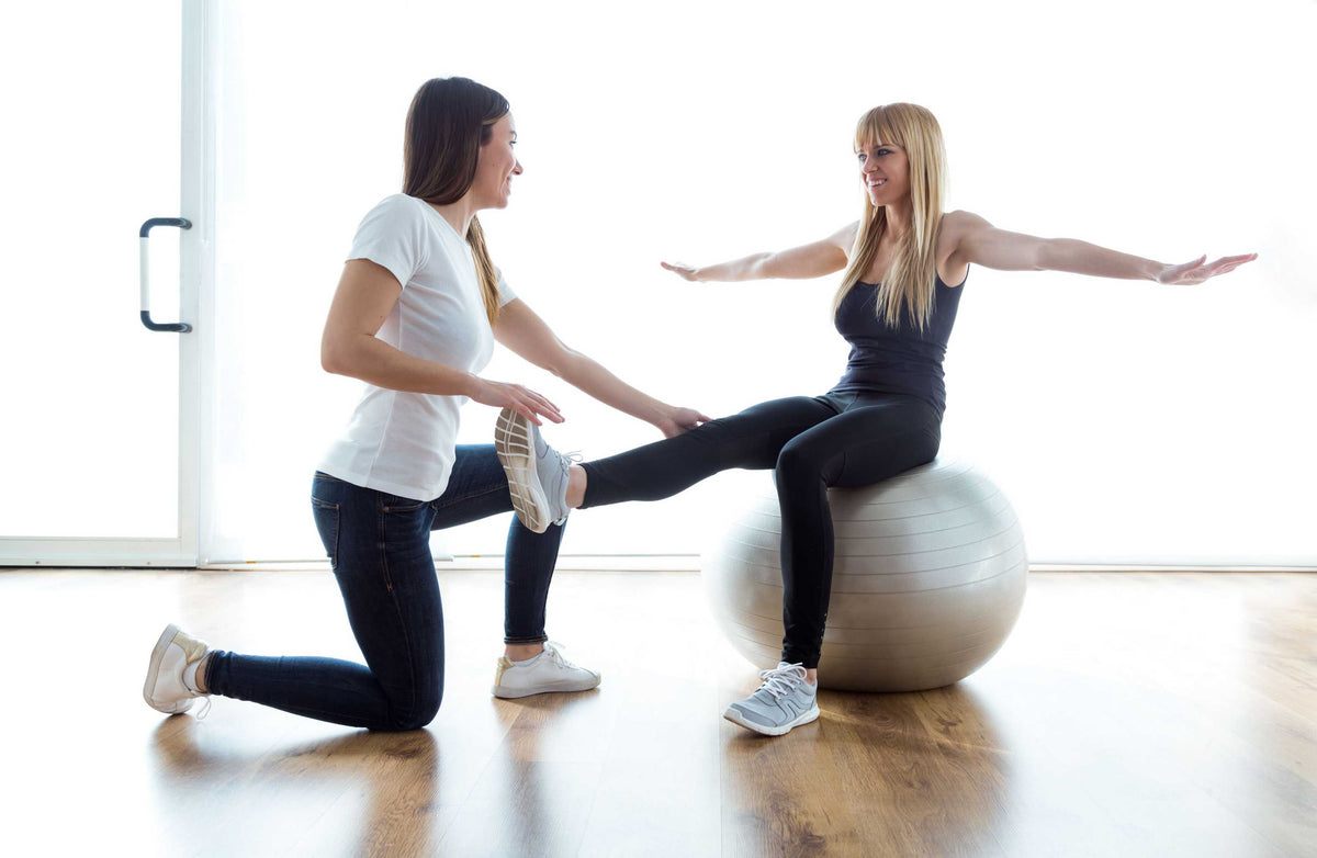 Iron Body Fitness Pro Series Exercise Ball