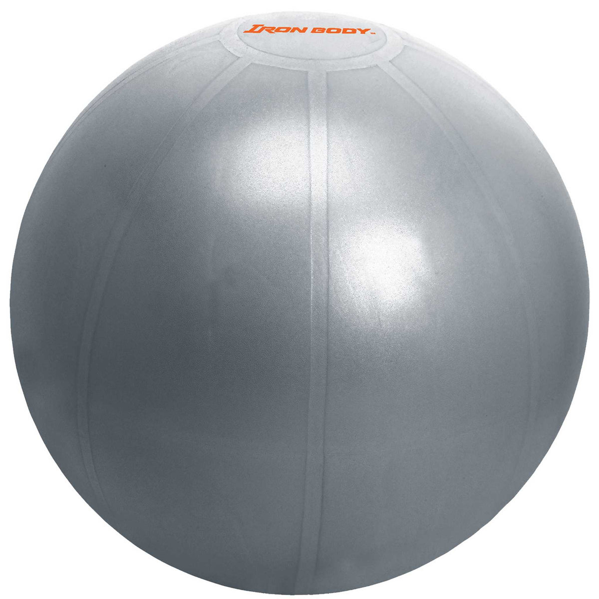 Iron Body Fitness Pro Series Exercise Ball