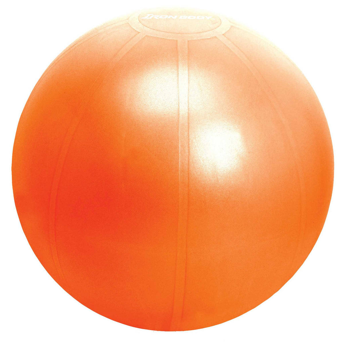 Iron Body Fitness Pro Series Exercise Ball
