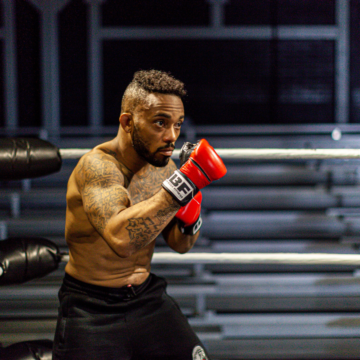 Iron Body Fitness Cage Pro MMA Gloves