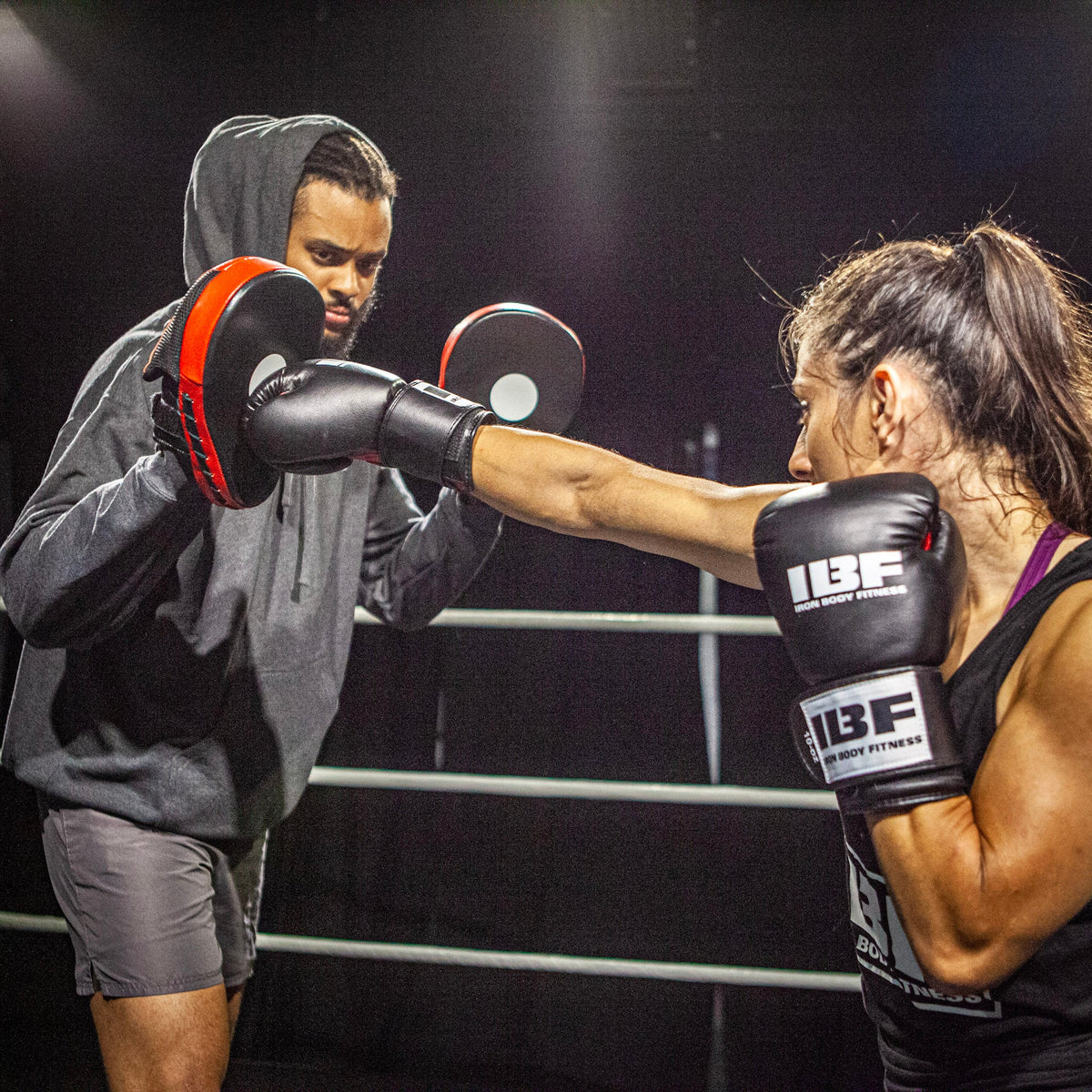 Iron Body Fitness Premium Focus Pads